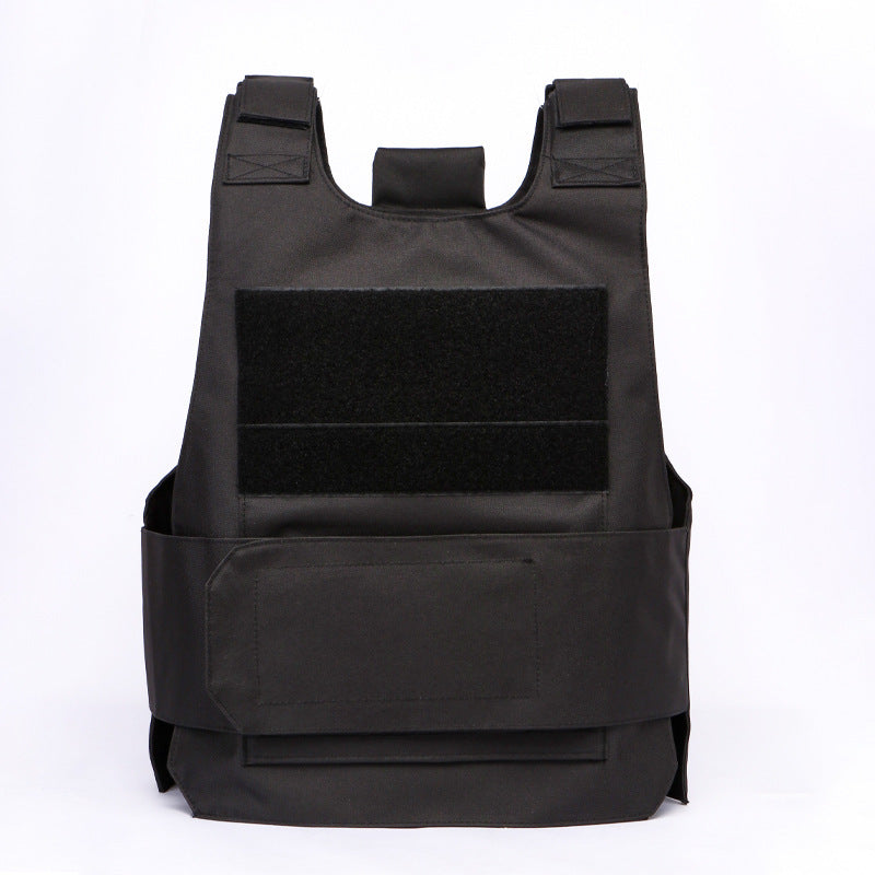 Concealable plate carrier