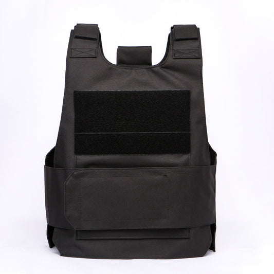 Concealable plate carrier