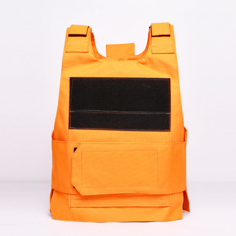 Concealable plate carrier