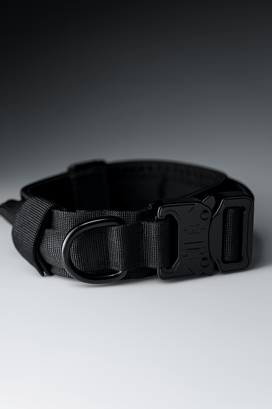 Hussar K9 - Dog Collar - Black Fox Security Group