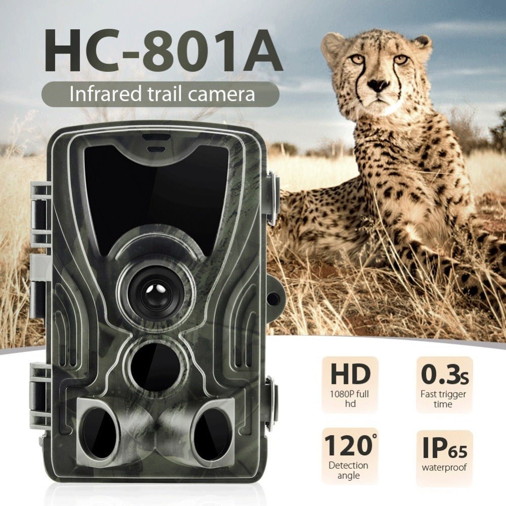 Hunting - Trail - Camera - Black Fox Security Group