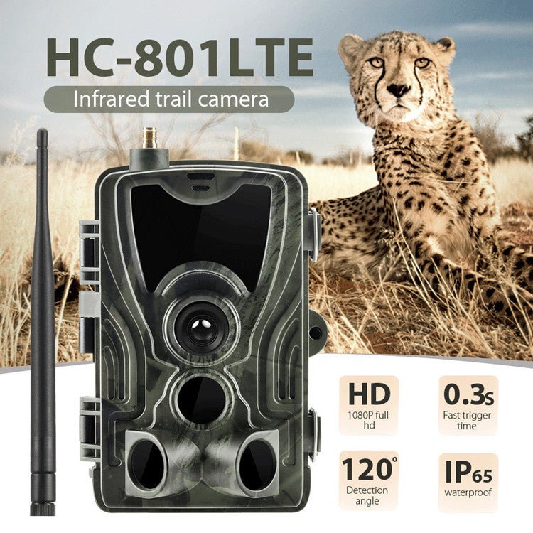 Hunting - Trail - Camera - Black Fox Security Group