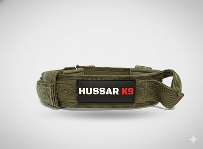 Hussar K9 - Dog Collar - Black Fox Security Group