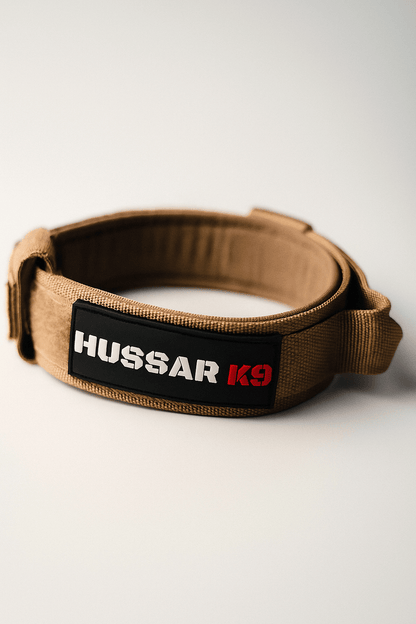 Hussar K9 - Dog Collar - Black Fox Security Group