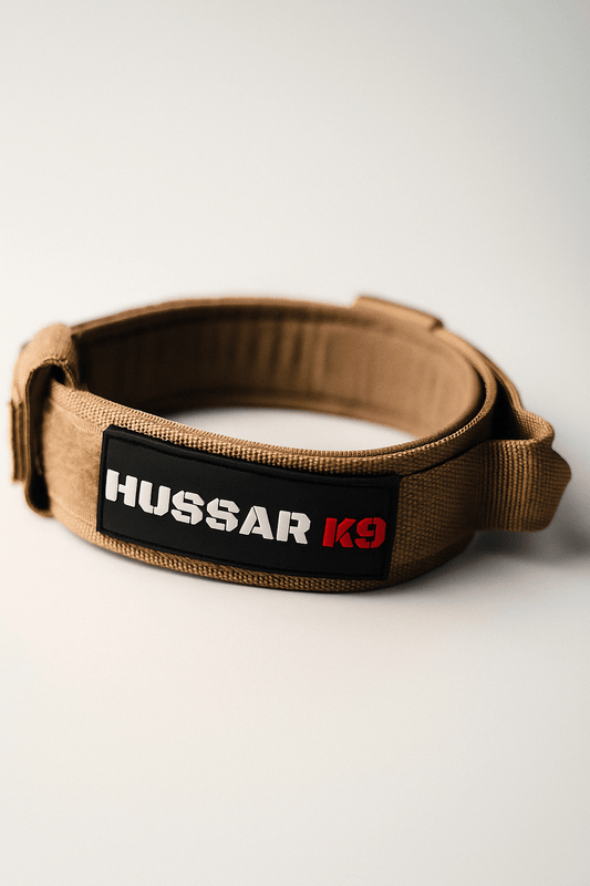 Hussar K9 - Dog Collar - Black Fox Security Group