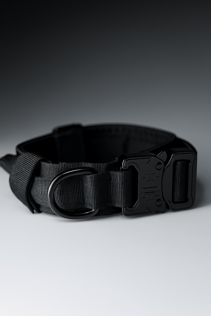 Hussar K9 - Dog Collar - Black Fox Security Group