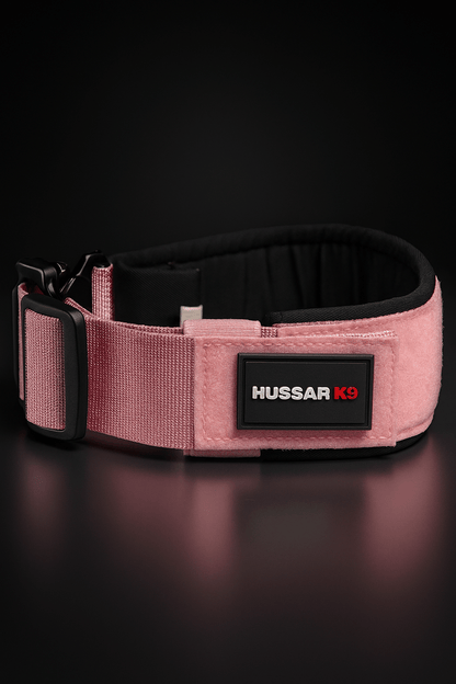Hussar K9 - Martingale Collar - Black Fox Security Group
