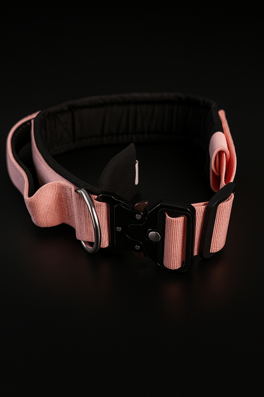 Hussar K9 - Martingale Collar - Black Fox Security Group