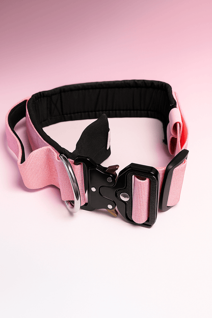 Hussar K9 - Martingale Collar - Black Fox Security Group