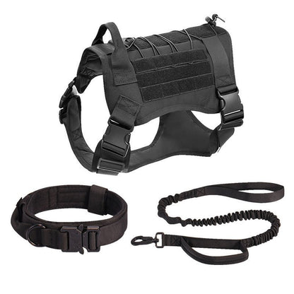 Tactical Dog Harness With Collar and Bungee Leash - Black Fox Security Group