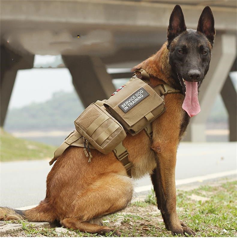 Tactical Dog Harness with Molle System - Black Fox Security Group