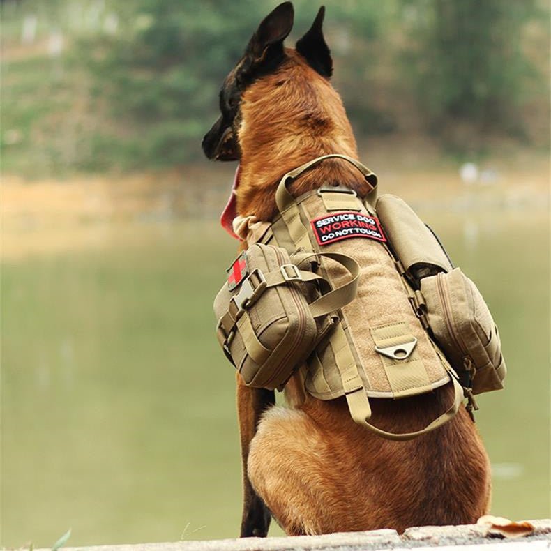 Tactical Dog Harness with Molle System - Black Fox Security Group