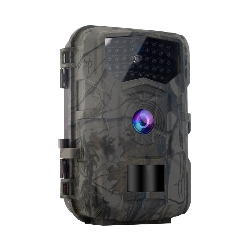 Trail Camera