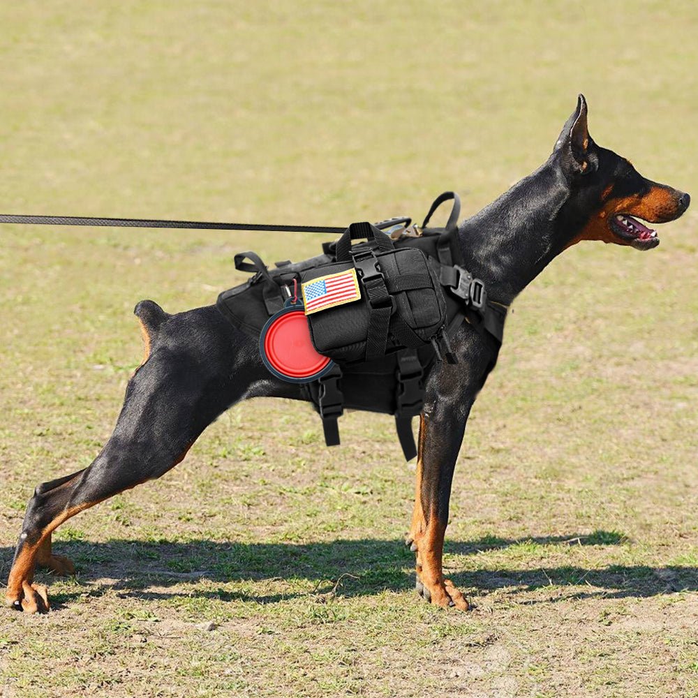 Tactical K9 Harness - Black Fox Security Group