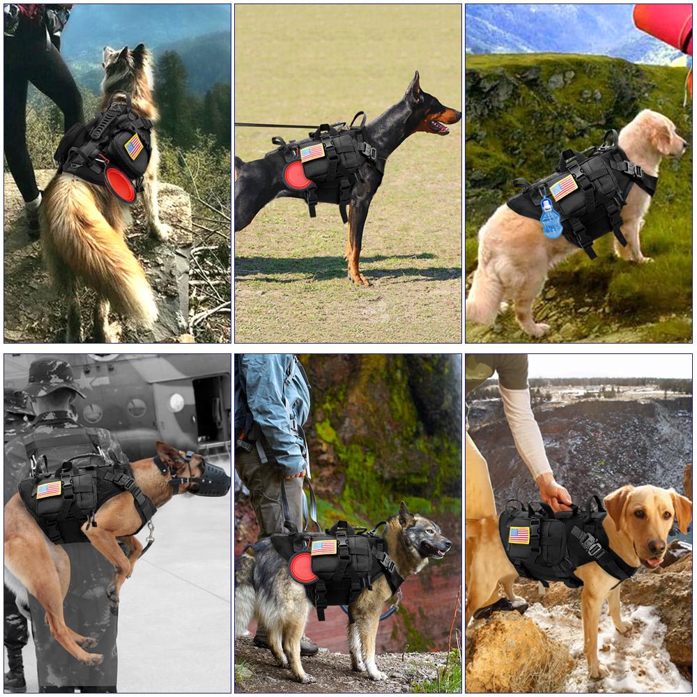 Tactical K9 Harness - Black Fox Security Group